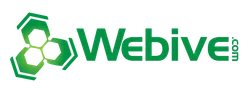 Webive Digital Marketing